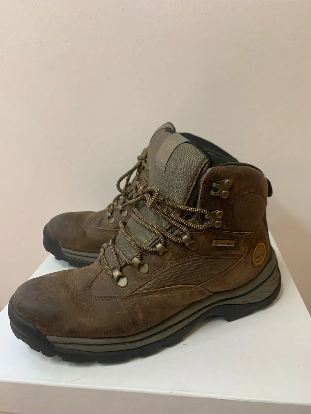 Timberland White Ledge Mid Hiking Boot